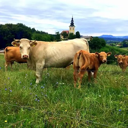 Jozetov Gric - Farm بوتْشيترتيك
